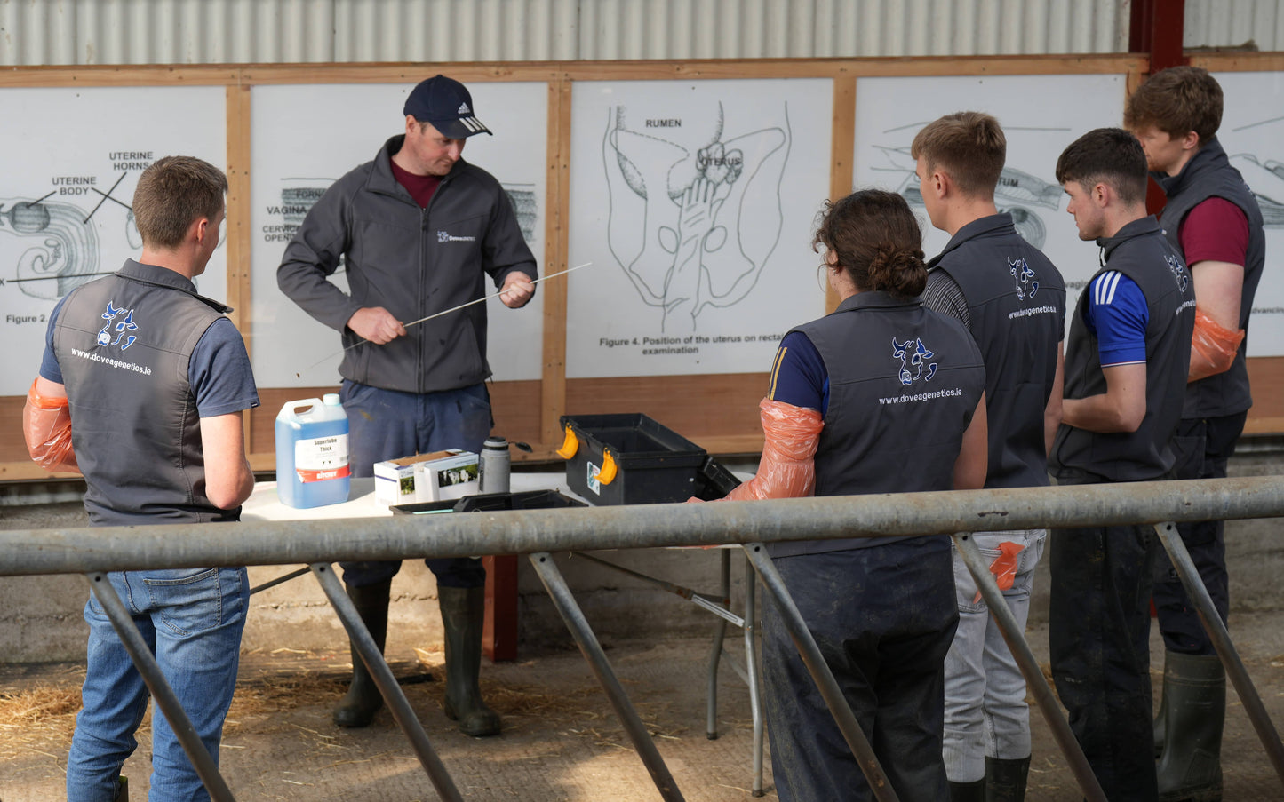DIY AI Training 4 day Course Tipperary (4th - 9th December 2025)